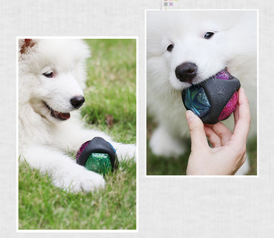 Dog toy ball