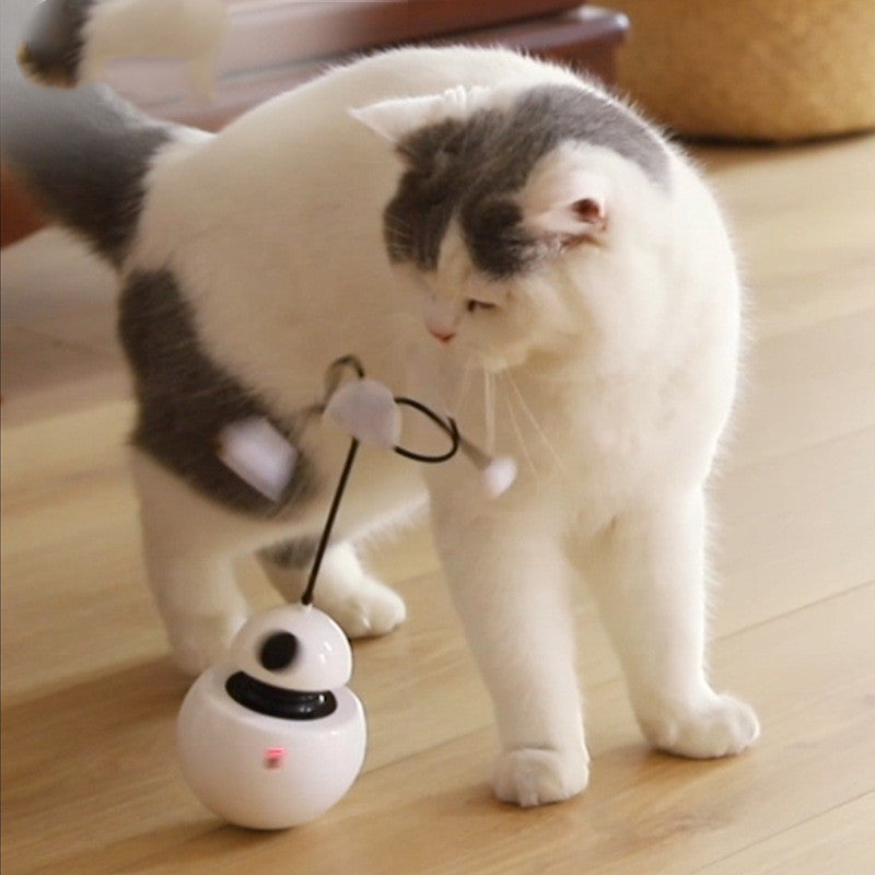 Electric cat  funny toy