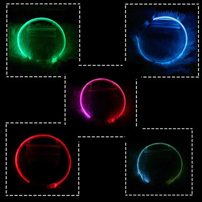 Led Dog Collar Luminous