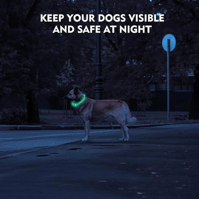 Led Dog Collar Luminous