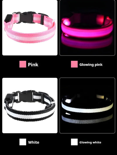 Dog Collar Nylon LED Night Safety