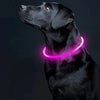 Led Dog Collar Luminous