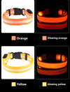 Dog Collar Nylon LED Night Safety