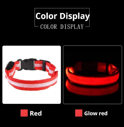 Dog Collar Nylon LED Night Safety