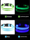 Dog Collar Nylon LED Night Safety