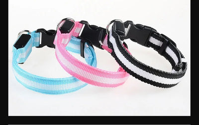 Dog Collar Nylon LED Night Safety