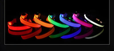 Dog Collar Nylon LED Night Safety