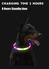 Led Dog Collar Luminous